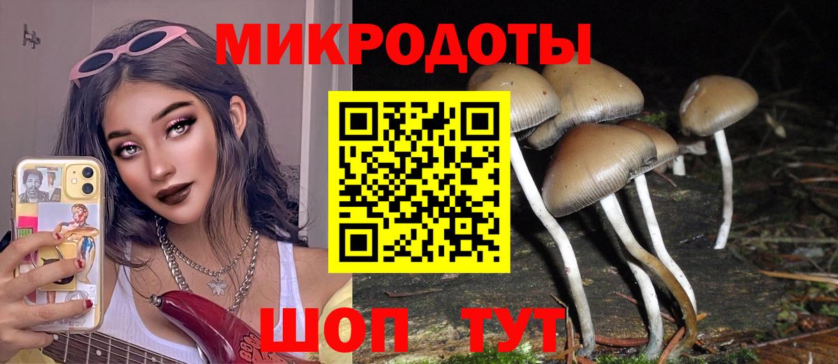 Полысаево  Псилоцибиновые грибы GOLDEN TEACHER  Вход с VPN 